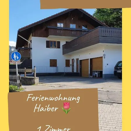 Apartman Haiber 1zimmer Obermaiselstein